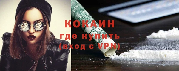 дмт Гусь-Хрустальный