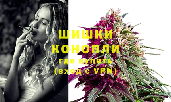дмт Гусь-Хрустальный
